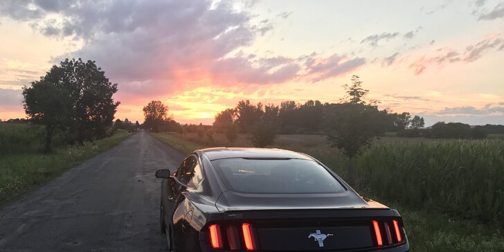 Za volantem legendy: řízení Fordu Mustang 2015 - brněnská jízda