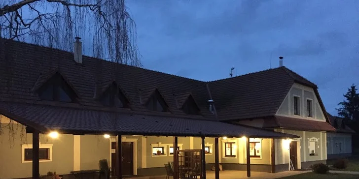 Pobyt ve společnosti koní – 2 až 3 dny v Hanáckém dvoře u Olomouce s polopenzí
