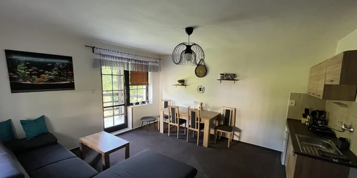 Nechybí lednička, nádobí, toaletní potřeby, osušky a ručníky. 