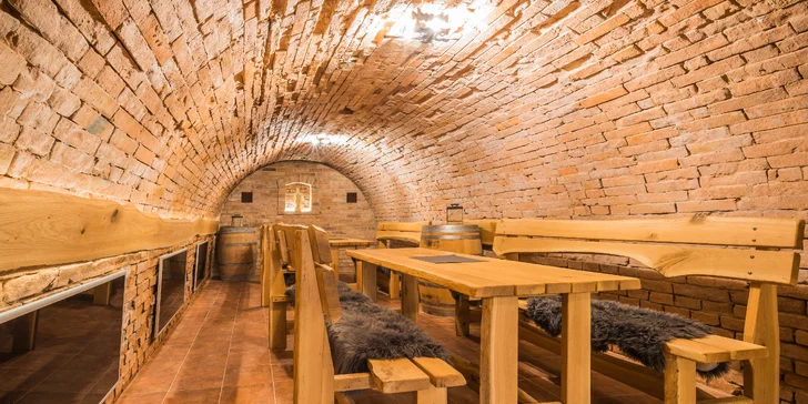 Sklípek nabízí příjemné posezení. Jsou tu tepelné panely a projekční plátno.