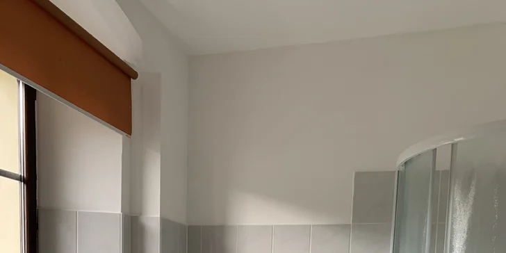 Koupelna je vybavena sprchovým koutem a toaletou.