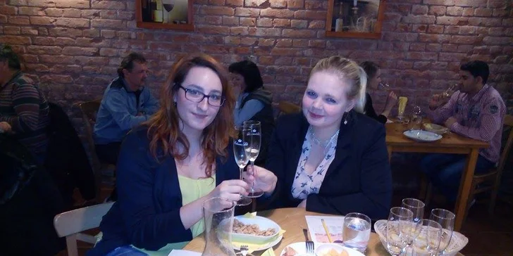 Řízená degustace vína s výkladem sommeliera vč. občerstvení pro 2