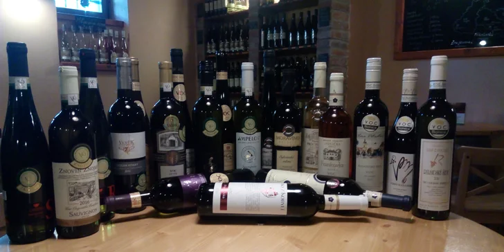 Řízená degustace vína s výkladem sommeliera vč. občerstvení pro 2