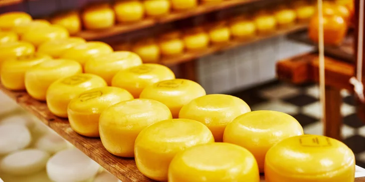 Amsterdam, degustace sýrů na tradiční farmě a přístavní městečko Volendam