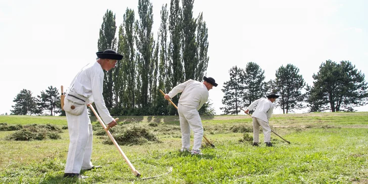 Výstava agrokomplex v Nitře: vše o zemědělství pro odborníky i rodiny s dětmi