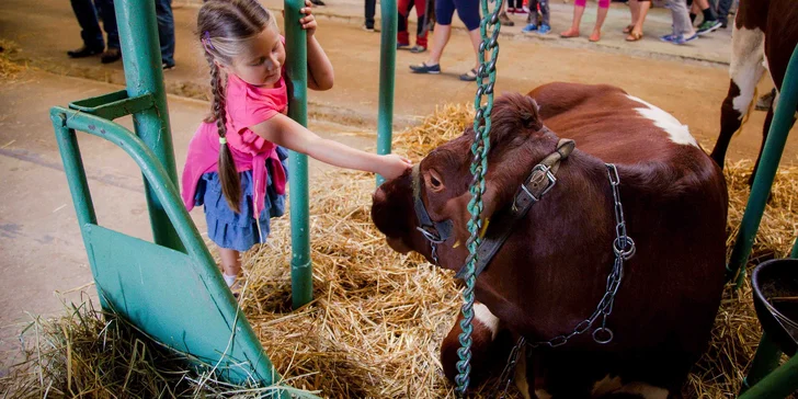 Výstava agrokomplex v Nitře: vše o zemědělství pro odborníky i rodiny s dětmi