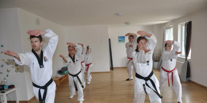 Tréninky Taekwondo WTF pro děti i dospělé (6-99 let)