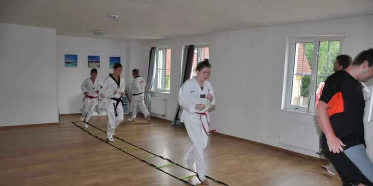 Tréninky Taekwondo WTF pro děti i dospělé (6-99 let)