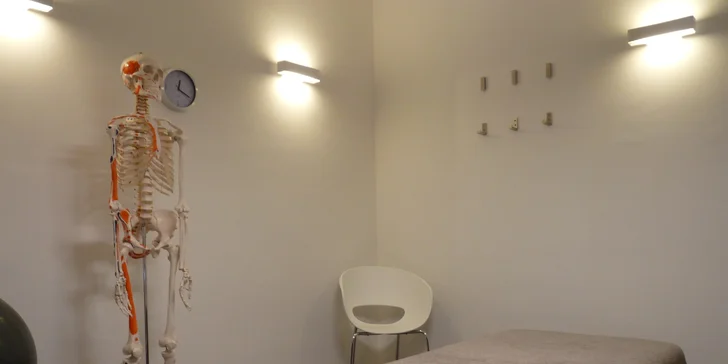 Fyzioterapie: vstupní konzultace, diagnostika a sestavení terapeutického plánu