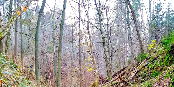 A kdyby vám příroda zevšedněla (což se nestane), udělejte si 20km zajížďku do Třebíče. 