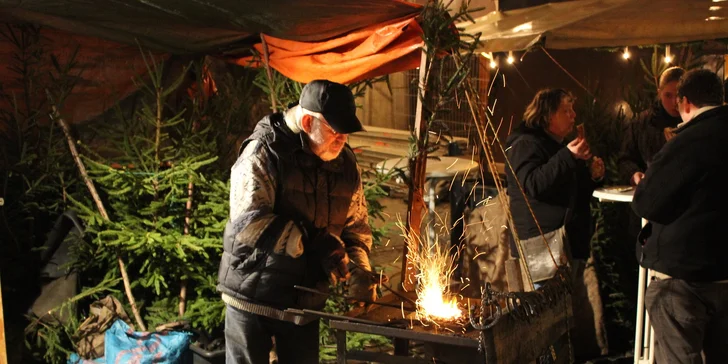Adventní výlet do Horní Lužice: historický Budyšín a tradiční trhy ve Zhořelci