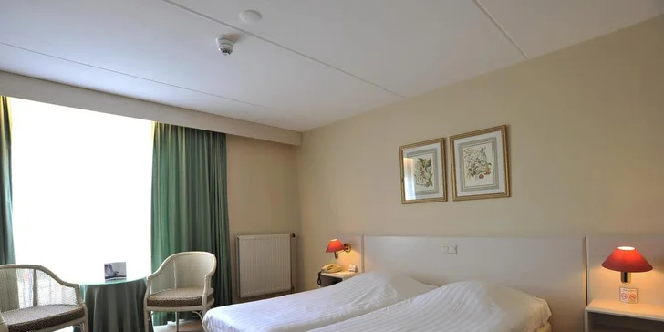 Amsterdam na 1 noc: prohlídka města, výlet za větrnými mlýny i návštěva delfinária