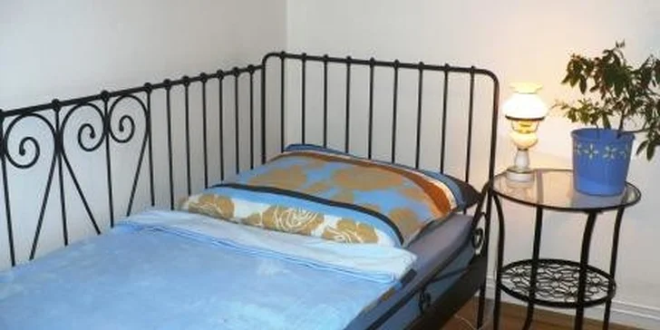 TŘI dny s koňmi na Křivoklátsku pro DVA
