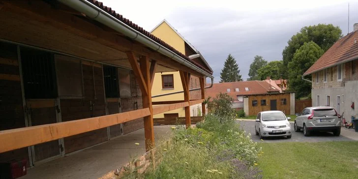 TŘI dny s koňmi na Křivoklátsku pro DVA