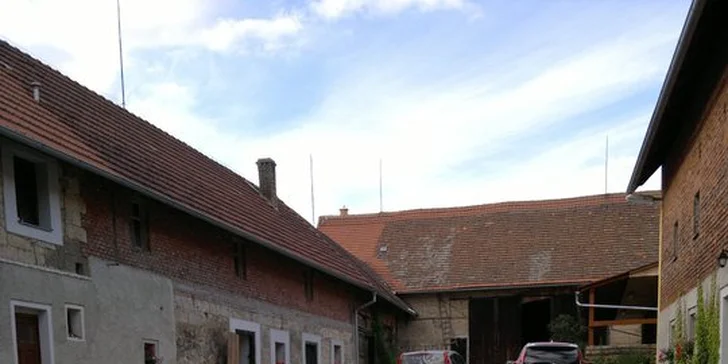 TŘI dny s koňmi na Křivoklátsku pro DVA