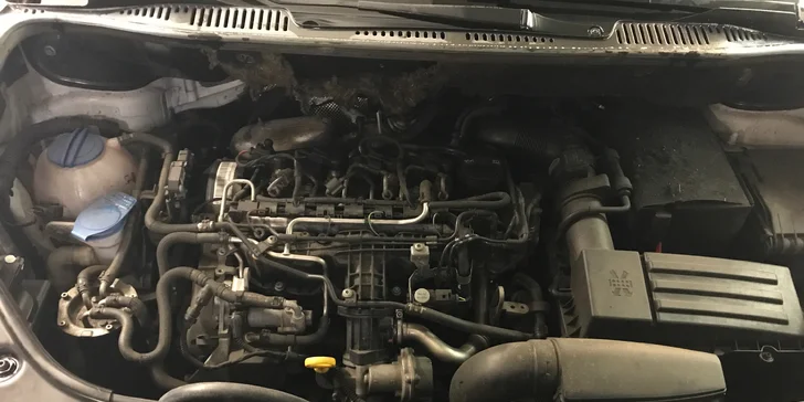 Pošlete auto do lázní: Parní čištění motorů a dekontaminace autolaku a rzi