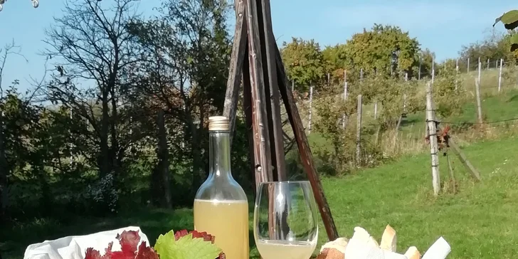 Vychutnajte si atmosféru v trnavskej kaviarni Cafe21 Tvorsad alebo na vopred dohodnutom mieste, kam vinár príde za vami.