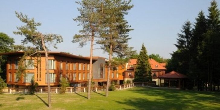 4799 Kč za třídenní wellness pobyt pro DVA v Hotelu Zochova chata**** na Slovensku. Sauna, bazén, vířivka neomezeně. Zažijte dotek luxusu v kraji vína a přírodě Malých Karpat. Sleva 54 %.