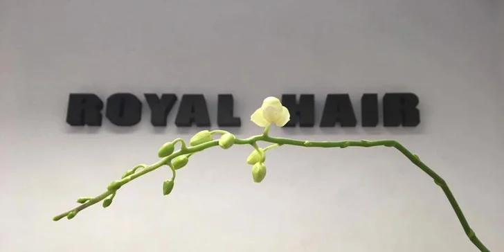 Regenerace vlasů po létě pomocí tekutých krystalů