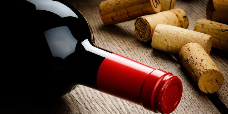 Ochutnejte klenoty jižní Moravy: 4 litry bílého nebo červeného vína