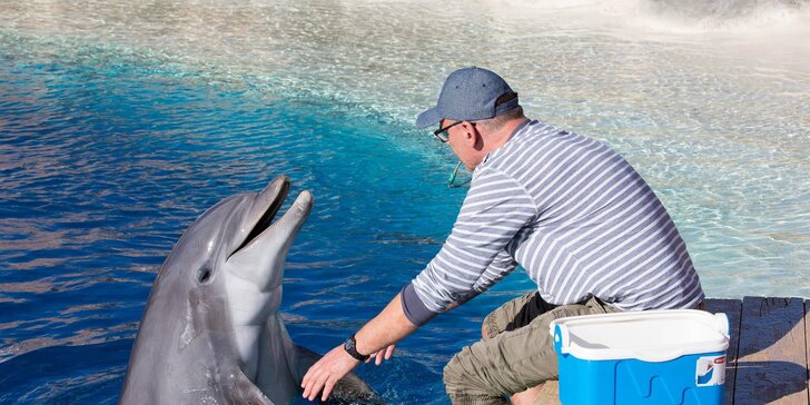 Den v Norimberku a v místní ZOO s delfináriem: delfíni, kapustňáci a lachtani