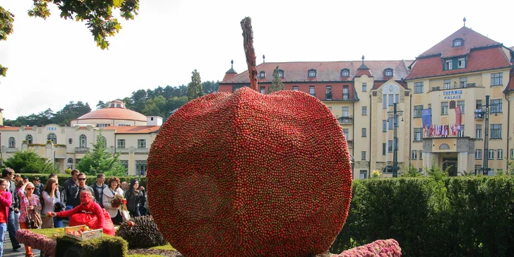 Victoria Regia