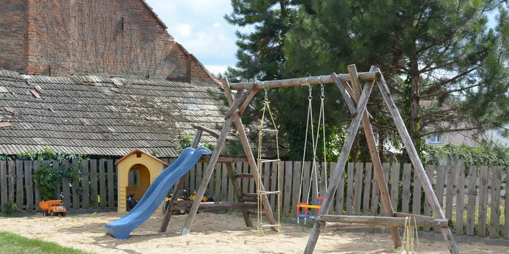 Dobrota jako z pohádky: křepelka pečená v bylinkové marinádě a voňavá rýže
