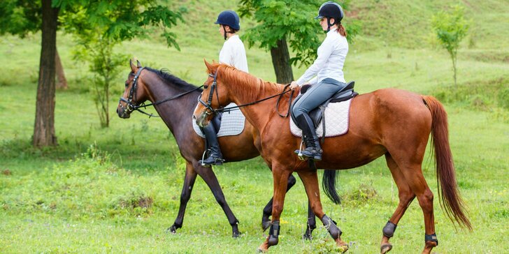 Hodinový zážitek: Projížďka na koni v přírodě pro dospělé i děti