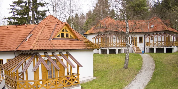 Na kola a výlety na Lipno: vila pro 4 os., polopenze a sleva na relax i sport
