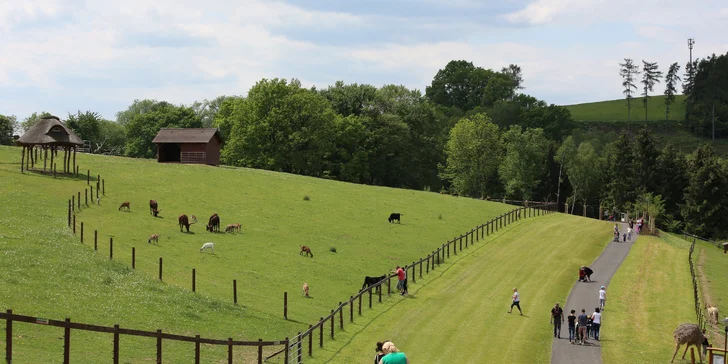 Rodinná vstupenka do Farmaparku: krmení zvířátek, hřiště a spousta prima atrakcí
