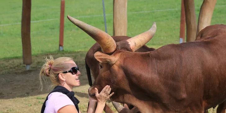 Rodinná vstupenka do Farmaparku: krmení zvířátek, hřiště a spousta prima atrakcí
