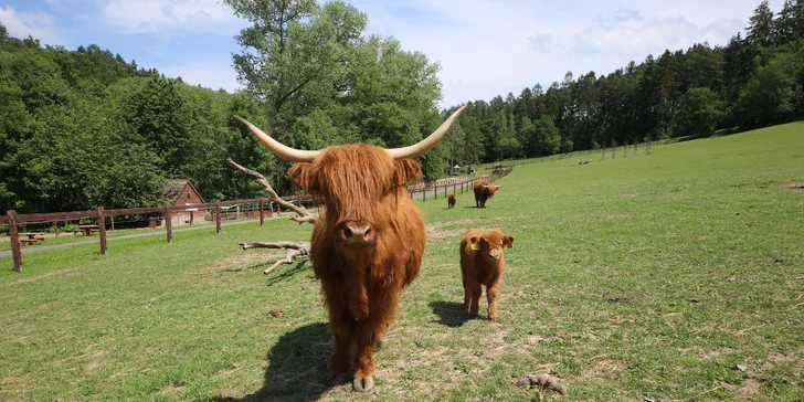 Rodinná vstupenka do Farmaparku: krmení zvířátek, hřiště a spousta prima atrakcí
