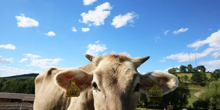 Rodinná vstupenka do Farmaparku: krmení zvířátek, hřiště a spousta prima atrakcí