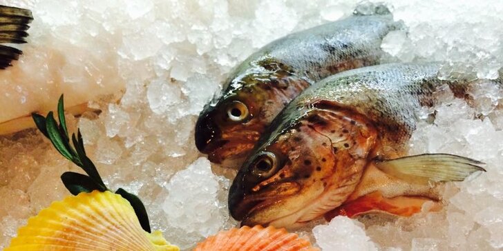 3 dny v Poděbradech: penzion s rybí restaurací na cyklostezce přímo u Labe