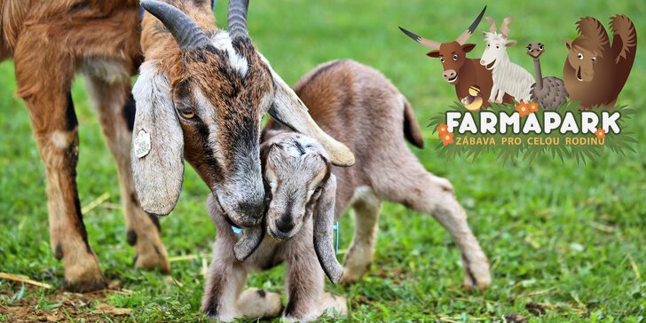 Rodinná vstupenka do Farmaparku: krmení zvířátek, hřiště a spousta prima atrakcí