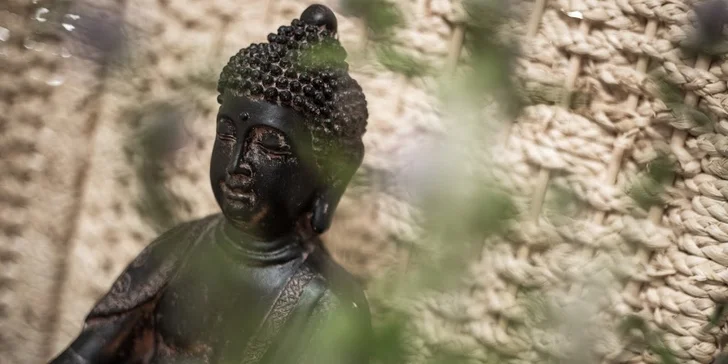 Otevřené lekce jógy dle výběru pro začátečníky i pokročilé v Anjali studiu