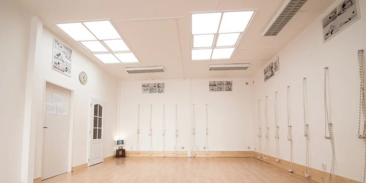 Otevřené lekce jógy dle výběru pro začátečníky i pokročilé v Anjali studiu