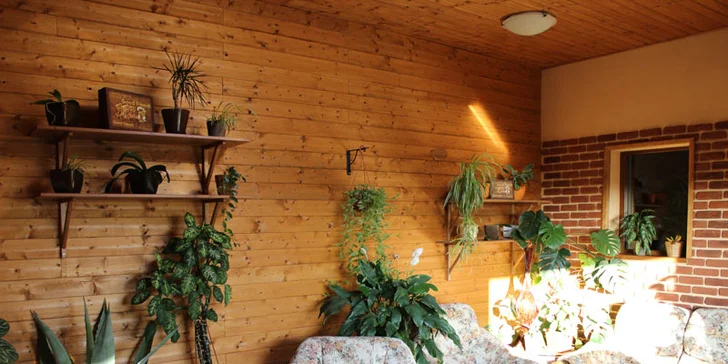 Tři pohodové dny na Vysočině: polopenze a volný vstup do wellness