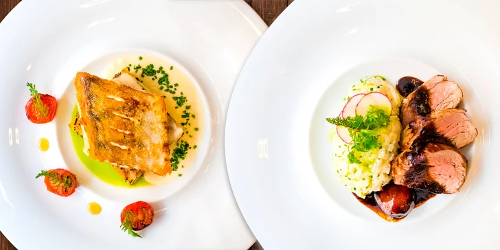 4chodové menu s candátem nebo vepřovou panenkou v restauraci Amaryla