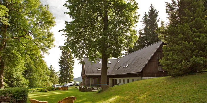 Pecka nejen pro vegany: Houbařský pobyt se 100% rostlinnou stravou