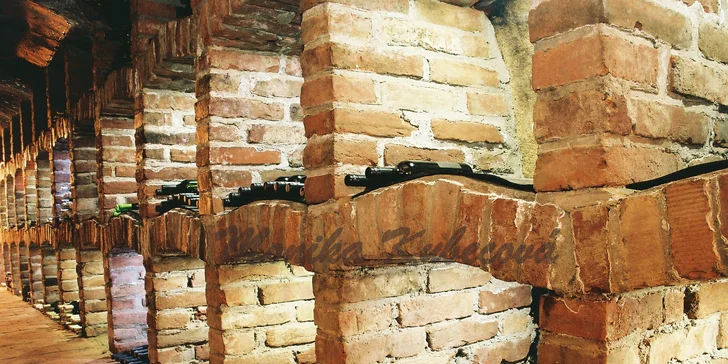 Vinařská dovolená u Znojma: Česká polopenze, degustace vín a zapůjčení kol