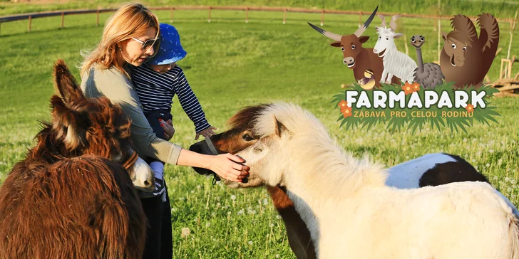 Den se skřítky a elfy ve Farmaparku: živé pohádkové bytosti, atrakce a zvířátka