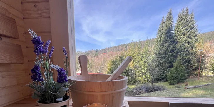 Sauna s výhledem do lesa? Samozřejmě!
