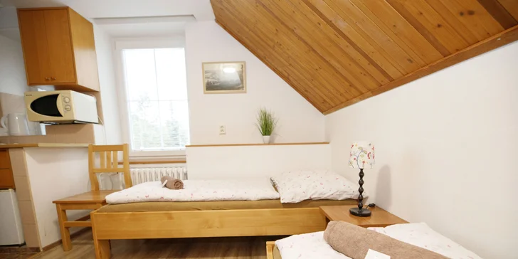  K dostání je také dvou- nebo čtyřlůžkový pokoj s vlastní kuchyňkou. 
