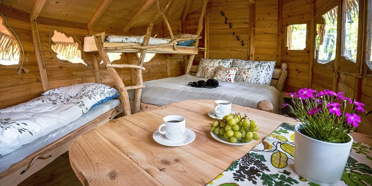 Tree house na kraji Brna: ubytování v souladu s přírodou i úniková šifrovací hra pro zábavu