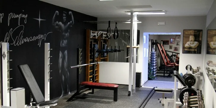 Jednotlivý vstup, permanentka nebo roční vstupné do fitness
