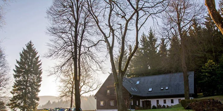 Pecka nejen pro vegany: Houbařský pobyt se 100% rostlinnou stravou