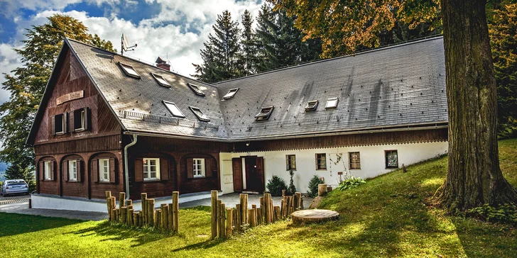 Pecka nejen pro vegany: Houbařský pobyt se 100% rostlinnou stravou