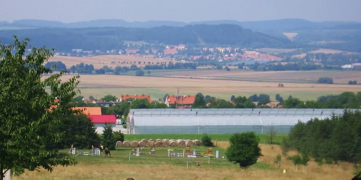 Užijte si báječný den u koní: výuka ve stáji, sedlání i vyjížďka do přírody