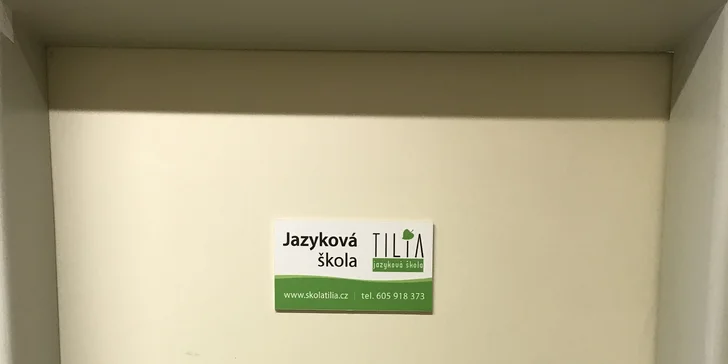 Kurzy angličtiny pro děti i dospělé: 10 nebo 15 lekcí a zapůjčení materiálů